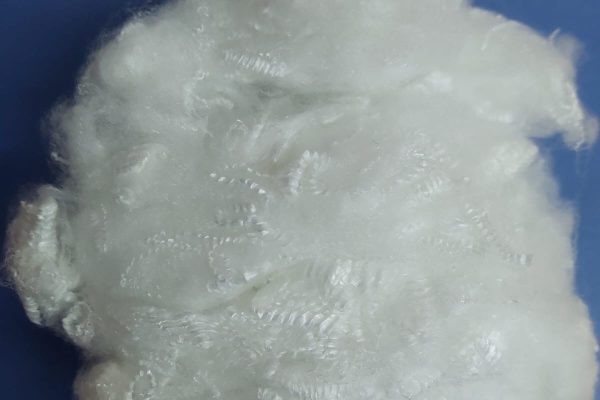 Imagen de WhatsApp 2024-10-08 a las 16.00.20_4fdbe938